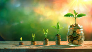 A diferença entre gasto, despesa e investimento